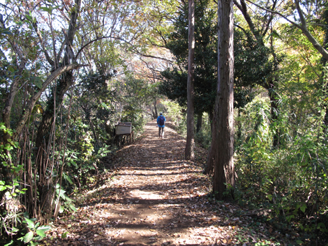 20151209hike (127)